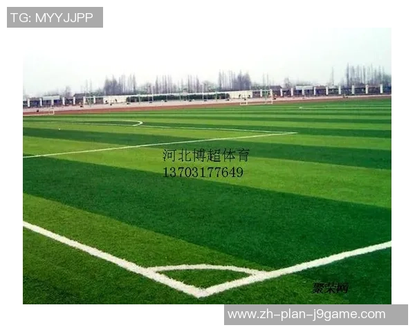 足球场地全解析从草坪类型到场地尺寸的全面介绍 足球场地全解析从草坪类型到场地尺寸的全面介绍
